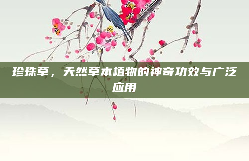 珍珠草，天然草本植物的神奇功效与广泛应用
