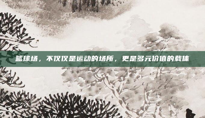 篮球场，不仅仅是运动的场所，更是多元价值的载体