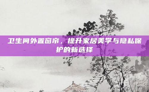 卫生间外置窗帘，提升家居美学与隐私保护的新选择