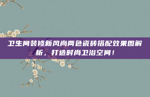 卫生间装修新风尚两色瓷砖搭配效果图解析，打造时尚卫浴空间！