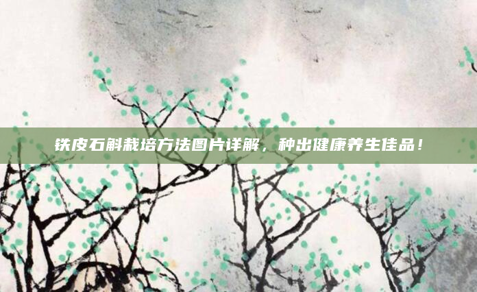 铁皮石斛栽培方法图片详解，种出健康养生佳品！