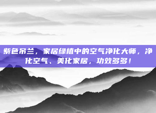 紫色吊兰，家居绿植中的空气净化大师，净化空气、美化家居，功效多多！