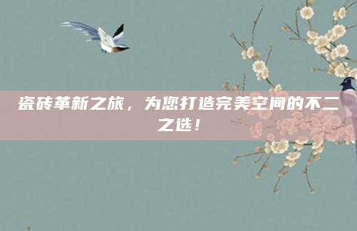 瓷砖革新之旅，为您打造完美空间的不二之选！