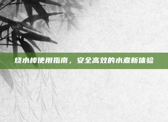 烧水棒使用指南，安全高效的水煮新体验