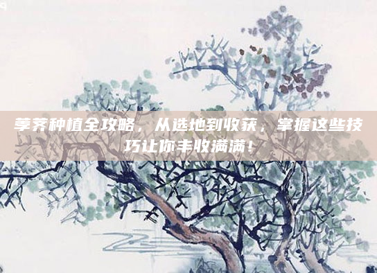荸荠种植全攻略，从选地到收获，掌握这些技巧让你丰收满满！