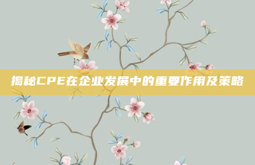 揭秘CPE在企业发展中的重要作用及策略