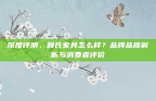 深度评测，赖氏家具怎么样？品牌品质解析与消费者评价