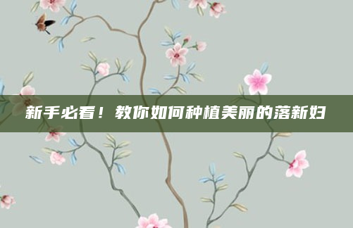 新手必看！教你如何种植美丽的落新妇
