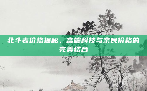 北斗表价格揭秘，高端科技与亲民价格的完美结合