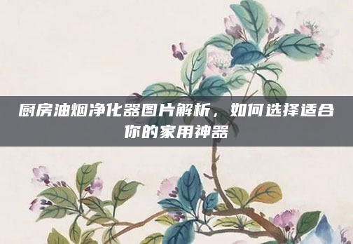 厨房油烟净化器图片解析，如何选择适合你的家用神器