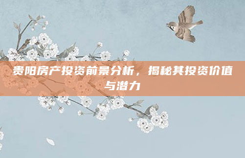 贵阳房产投资前景分析，揭秘其投资价值与潜力