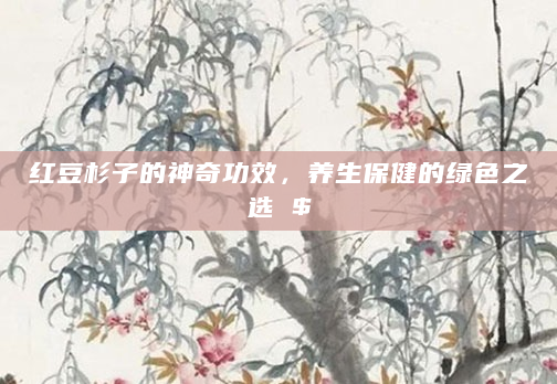 红豆杉子的神奇功效，养生保健的绿色之选 $