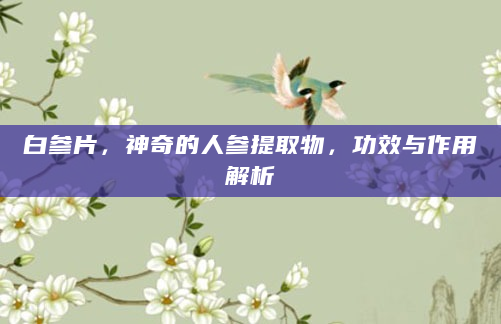 白参片，神奇的人参提取物，功效与作用解析