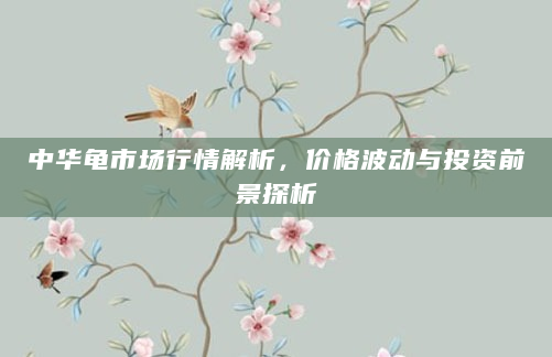 中华龟市场行情解析，价格波动与投资前景探析