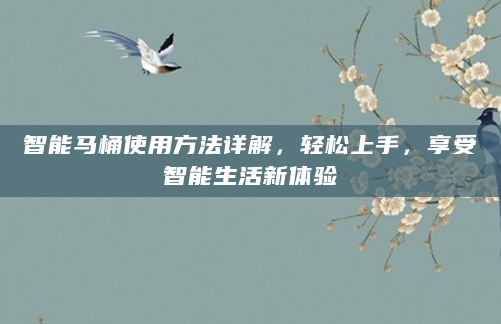 智能马桶使用方法详解，轻松上手，享受智能生活新体验