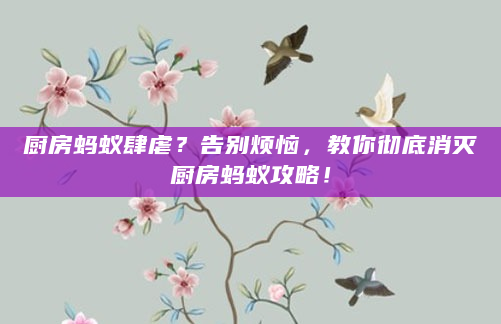 厨房蚂蚁肆虐？告别烦恼，教你彻底消灭厨房蚂蚁攻略！