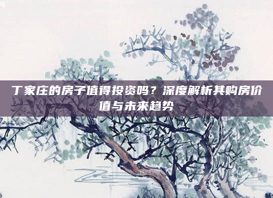 丁家庄的房子值得投资吗？深度解析其购房价值与未来趋势