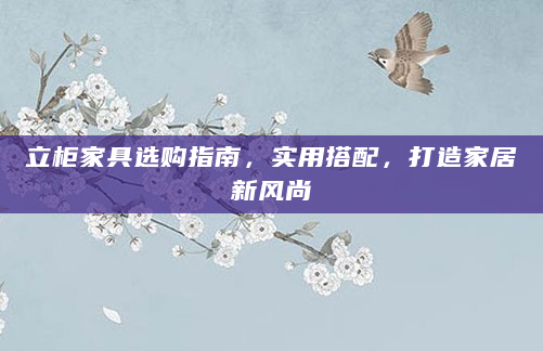立柜家具选购指南，实用搭配，打造家居新风尚