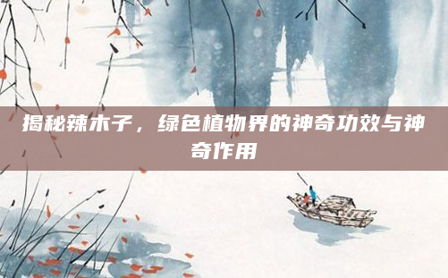 揭秘辣木子，绿色植物界的神奇功效与神奇作用