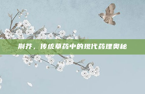 荆芥，传统草药中的现代药理奥秘