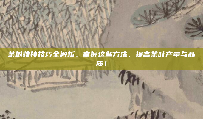 茶树嫁接技巧全解析，掌握这些方法，提高茶叶产量与品质！