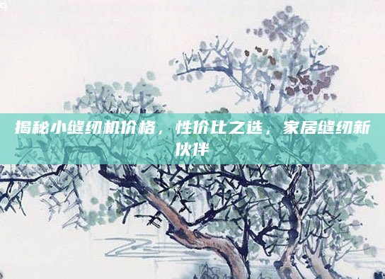 揭秘小缝纫机价格，性价比之选，家居缝纫新伙伴