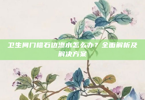 卫生间门槛石边渗水怎么办？全面解析及解决方案