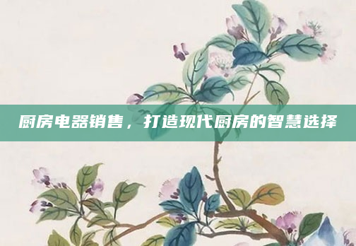 厨房电器销售，打造现代厨房的智慧选择