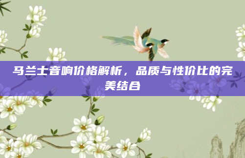 马兰士音响价格解析，品质与性价比的完美结合