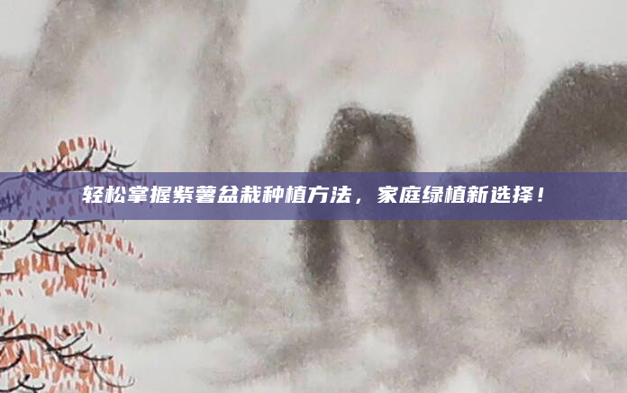 轻松掌握紫薯盆栽种植方法，家庭绿植新选择！