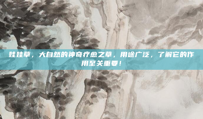 娃娃草，大自然的神奇疗愈之草，用途广泛，了解它的作用至关重要！