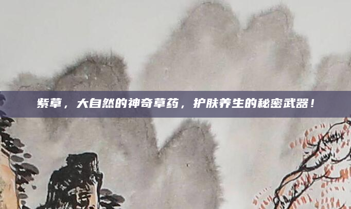 紫草，大自然的神奇草药，护肤养生的秘密武器！