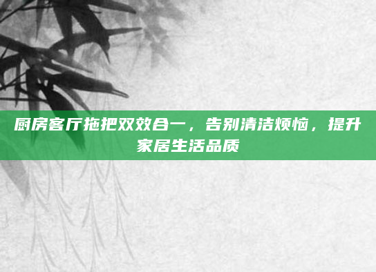 厨房客厅拖把双效合一，告别清洁烦恼，提升家居生活品质