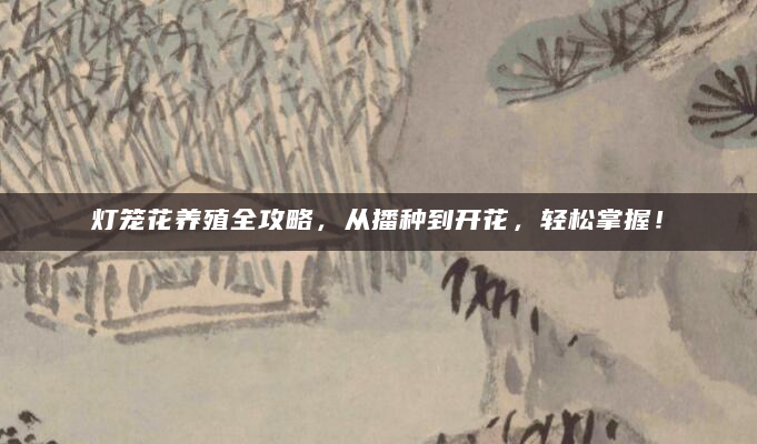 灯笼花养殖全攻略，从播种到开花，轻松掌握！
