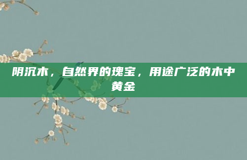 阴沉木，自然界的瑰宝，用途广泛的木中黄金