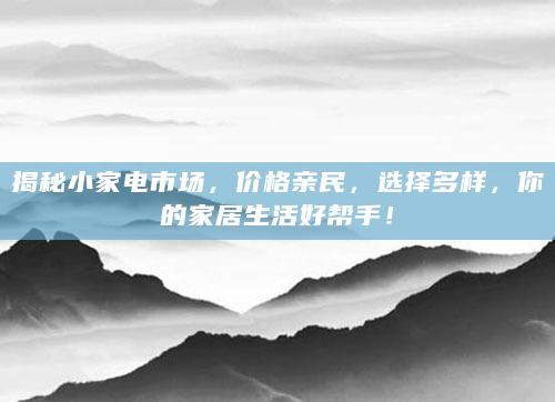 揭秘小家电市场，价格亲民，选择多样，你的家居生活好帮手！