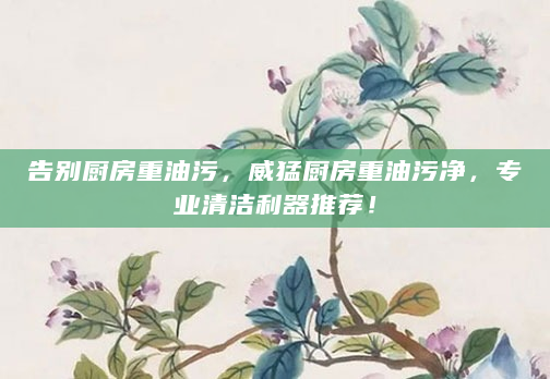 告别厨房重油污，威猛厨房重油污净，专业清洁利器推荐！