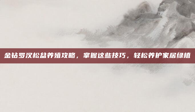 金钻罗汉松盆养殖攻略，掌握这些技巧，轻松养护家居绿植