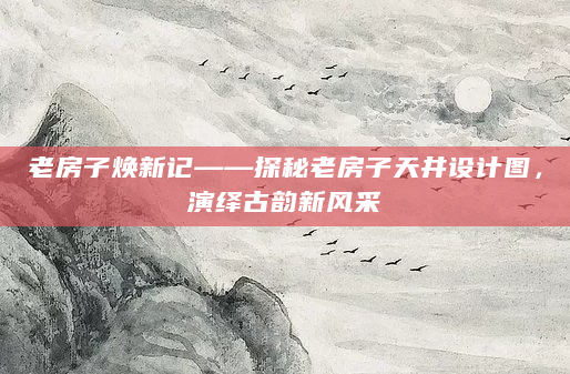老房子焕新记——探秘老房子天井设计图，演绎古韵新风采
