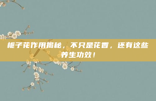 栀子花作用揭秘，不只是花香，还有这些养生功效！
