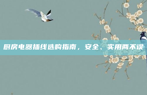 厨房电器插线选购指南，安全、实用两不误