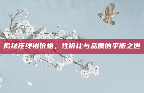 揭秘压线钳价格，性价比与品质的平衡之道