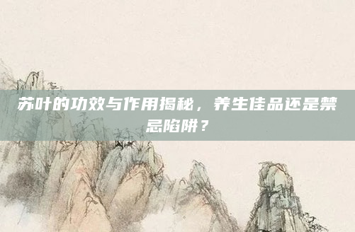 苏叶的功效与作用揭秘，养生佳品还是禁忌陷阱？