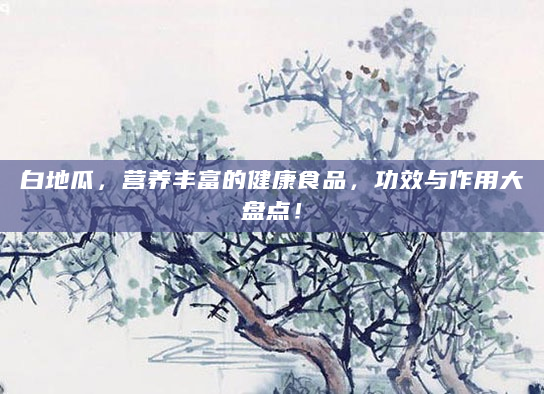白地瓜，营养丰富的健康食品，功效与作用大盘点！
