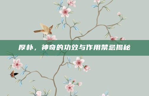 厚朴，神奇的功效与作用禁忌揭秘