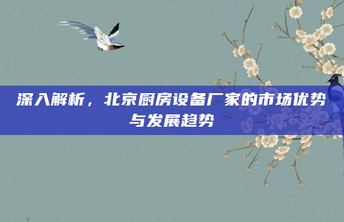 深入解析，北京厨房设备厂家的市场优势与发展趋势