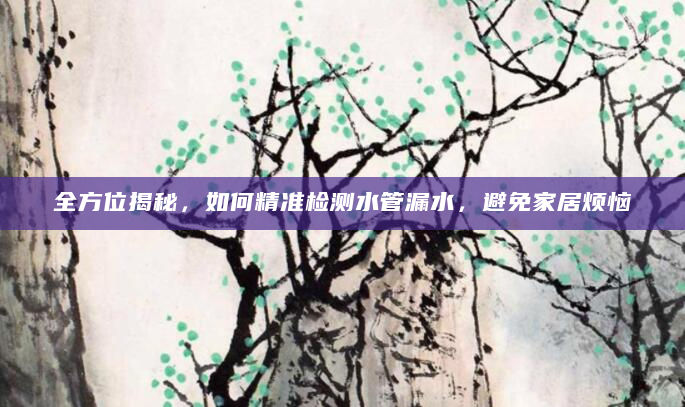 全方位揭秘，如何精准检测水管漏水，避免家居烦恼