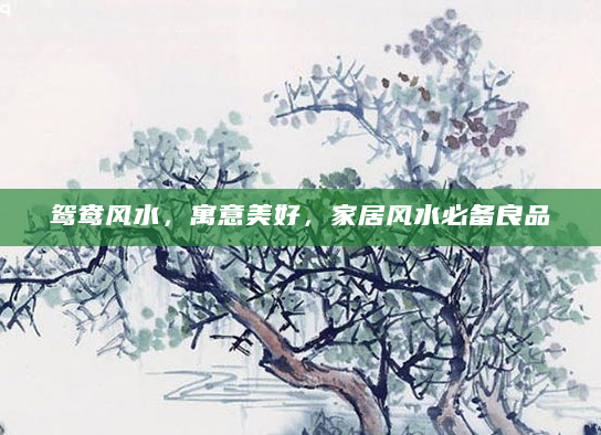鸳鸯风水，寓意美好，家居风水必备良品