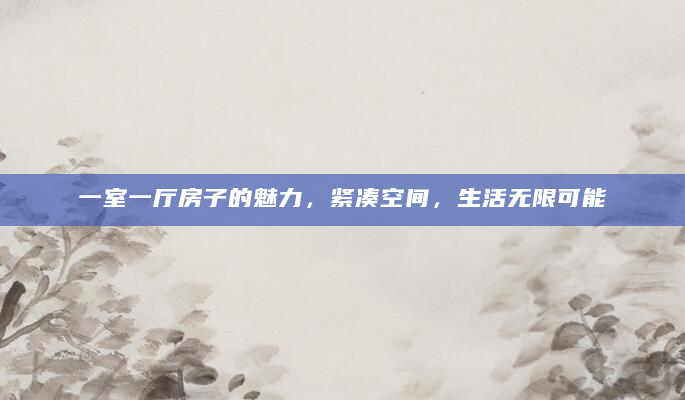 一室一厅房子的魅力，紧凑空间，生活无限可能