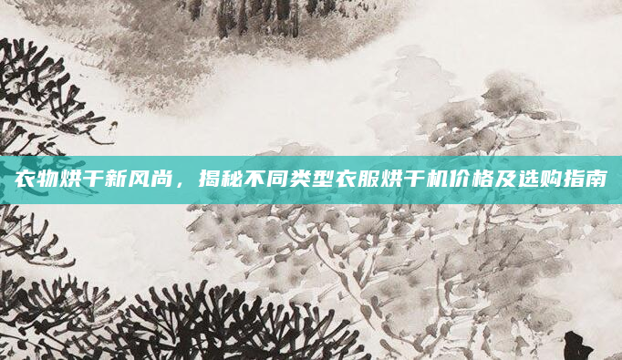 衣物烘干新风尚，揭秘不同类型衣服烘干机价格及选购指南